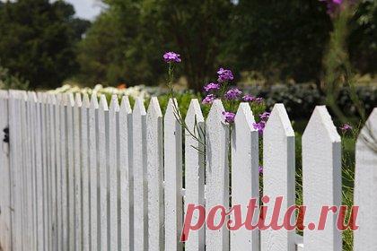 Россияне бросились скупать заборы. В России резко выросли продажи ворот, заборов и ограждений. С апреля их стали покупать на 94 процента чаще, чем за аналогичный период прошлого года. Также у россиян стали популярными сваи, которые начали покупать на 84 процента чаще. Еще выросли продажи изоляции (на 67 процентов) и сыпучих материалов (на 61 процент).