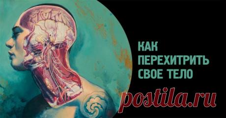 Как перехитрить своё тело: cпособы ничего не забывать, успокоить сердце и быстро выспаться - Кругом голова -