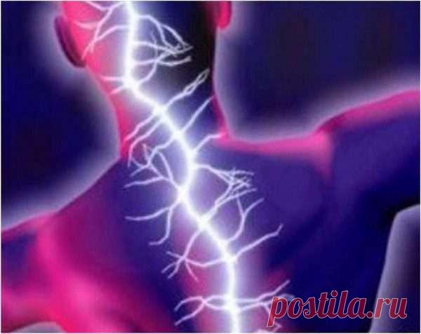 Народные методы лечения радикулита (Методы народной медицины) В домашних условиях наиболее доступное народное средство от радикулита — паста Розенталя.Разогретую пасту спичкой наносят в виде тонкой сетки на область поясницы (процедуру повторить многократно), поясницу не мочить, анальгетики не принимать...