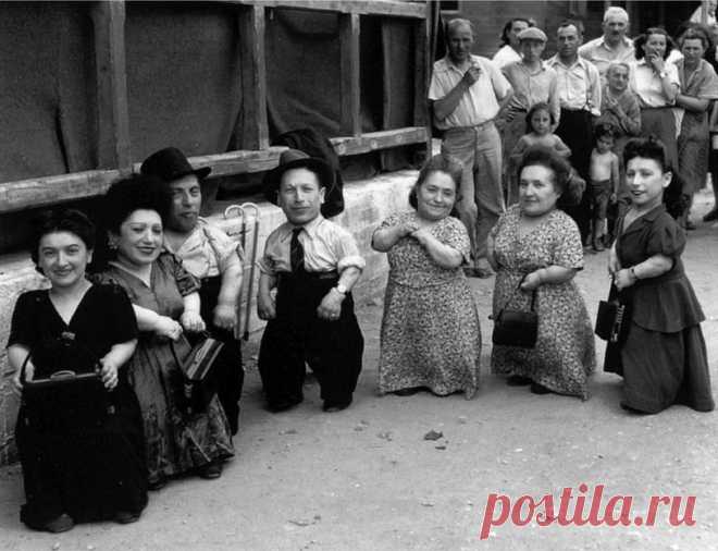 Чем лилипуты отличаются от карликов? | Интересное из интернета