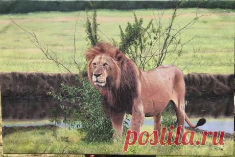 Смешная дикая природа