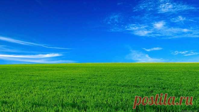 Фон для рабочего стола