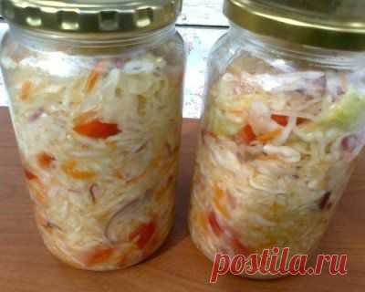 Капуста «Закусочная»