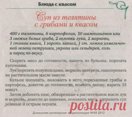 Суп из телятины с грибами и квасом