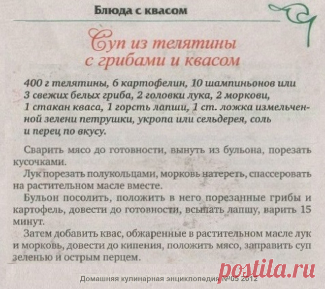 Суп из телятины с грибами и квасом
