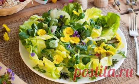 Что можно приготовить из сорняков – 23 рецепта вкусных и полезных блюд