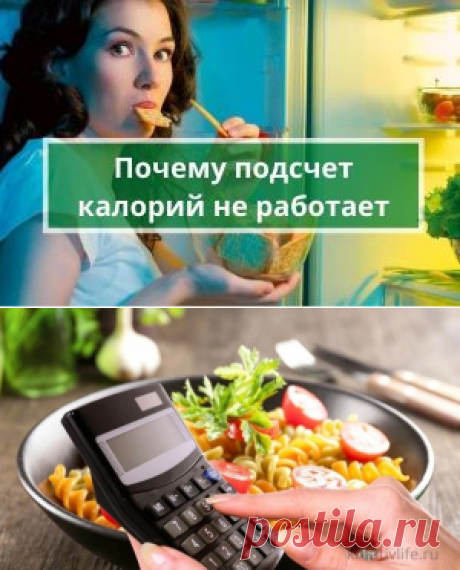 Почему метод подсчета калорий не работает для похудения | Психология