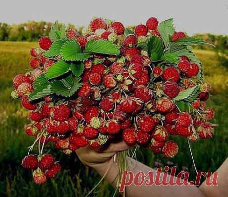 букетик вкусного лета!!!