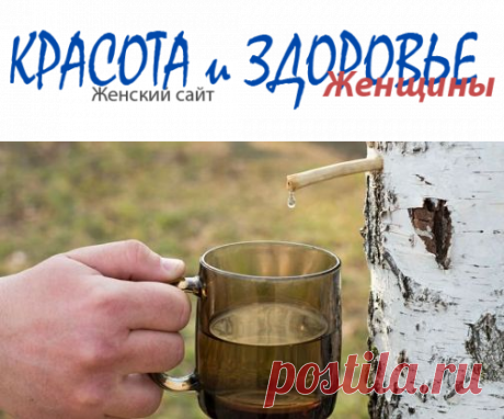 Когда и как собирать #березовый_сок
Березовый сок известен всем как приятный на вкус и полезный напиток. Еще в древние времена люди считали своим идолом березу и поклонялись ей.