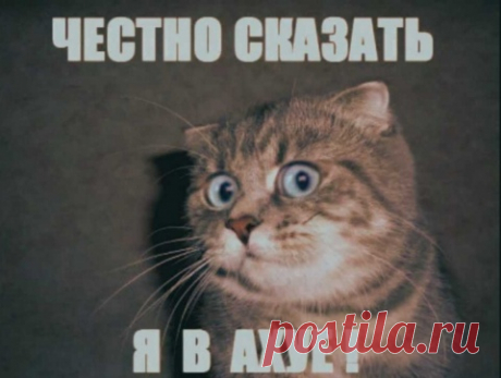Украина требует вывода Черноморского флота из Крыма, иначе...