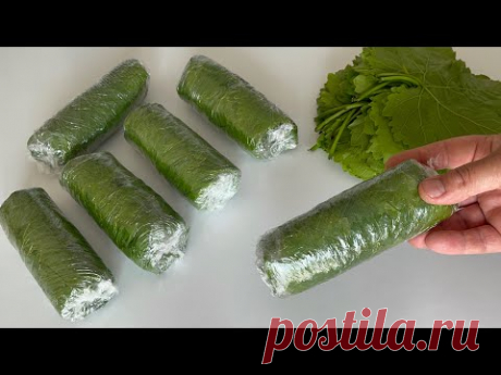 БЕЗ СОЛИ❗️БЕЗ КИПЯЧЕНИЯ❗️КАК ХРАНИТЬ ЛИСТЬЯ В МОРОЗИЛЬНОЙ КАМЕРЕ✔️