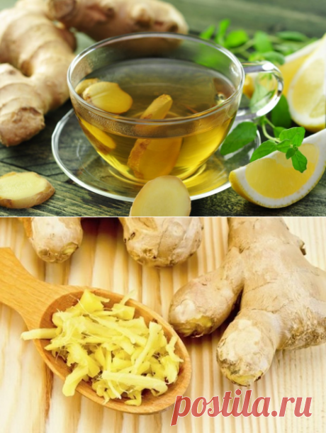 Имбирь - уникальная пряность!