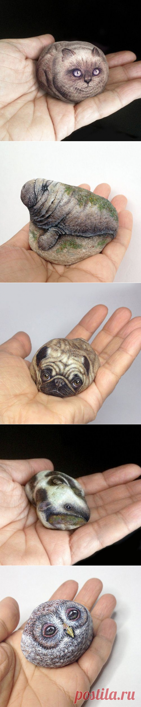 Миниатюрные животные на камнях
