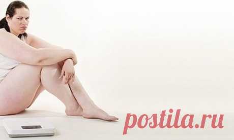 Право быть толстым