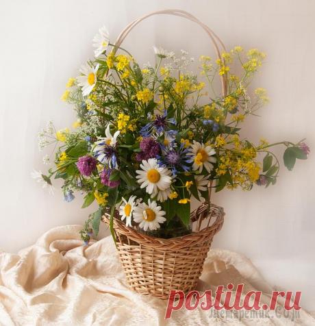 Цветочные композиции