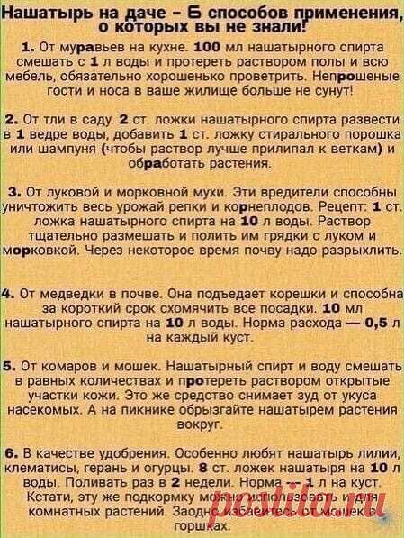 Нaшaтырь нa дaчe