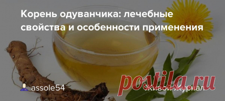 Корень одуванчика: лечебные свойства и особенности применения
Корень одуванчика — натуральное лекарство от многих недугов. Отвар и настойку из корней применяют и в косметологии. Народная медицина — рецепты, советы, способы, cекреты и народные средства.