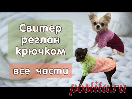 Как связать свитер крючком для собак и кошек, все части