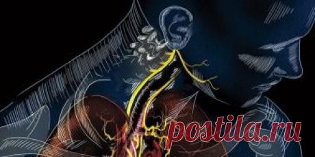 Поворот головы: техника освобождения от зажимов, проблем со спиной и шеей.
Осознания через движение создан, чтобы научить вас поворачивать голову и шею более плавно, а также чтобы вы поняли, как все тело участвует в этом процессе.
Этот простой урок Осознания ч…