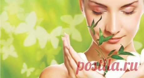 Продукты, которые содержат гормон женской молодости