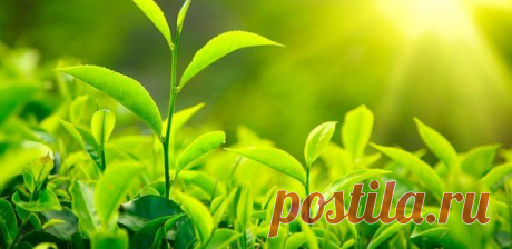 Реабилитационный центр &quot;Ступени&quot; предлагает лечение эмоциональной зависимости | Международная благотворительная организация – реабилитационный центр “Ступени” Лечение алкоголизма. Лечение наркомании.