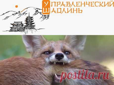 Отношения: путь к гармонии Вильнуть хвостом - shatkot@mail.ru - Почта Mail.Ru