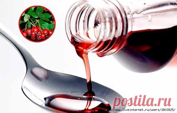 Лечение настойкой боярышника: приготовление и применение