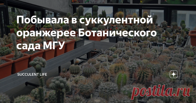 Побывала в суккулентной оранжерее Ботанического сада МГУ Собиралась наверно пару лет, и вот этой осенью звезды сложились и я там побывала аж два раза.
В сентябре после выставки суккулентов в Москве осталась пара часов до электрички, и я решила что надо сходить туда на разведку, благо Аптекарский огород находится в двух станциях метро Курского вокзала с которой я уезжаю в свое замкадье (с Ленинградского, Ярославского, Казанского вокзалов до сада
