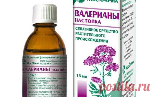 Защитим капусту с помощью настойки валерианы и нашатырного спирта | Твоя усадьба | Яндекс Дзен