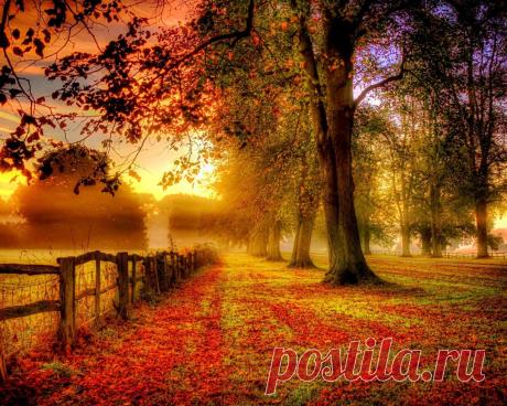|Скачать обои nature, park, trees, leaves, colorful, road, path, autumn, fall, раздел природа в разрешении 1280x1024 | goodfon.ru