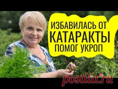 Бабушка Нина вылечила катаракту укропом. Рассказываю как
