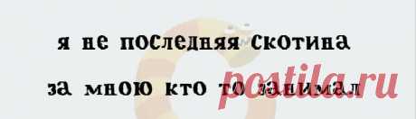 Уморительные и потрясающие двустишия. - Философия Life