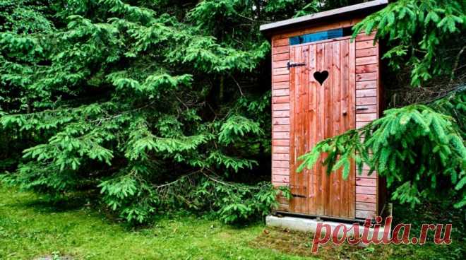 5 проверенных способов, как избавиться от запаха в дачном туалете 

Неприятный запах в дачном туалете – тема, волнующая многих, но не каждый знает, что избавиться от зловония совсем не сложно. Рассмотрим несколько популярных и доступных способов.
Чтобы решить пробле…
