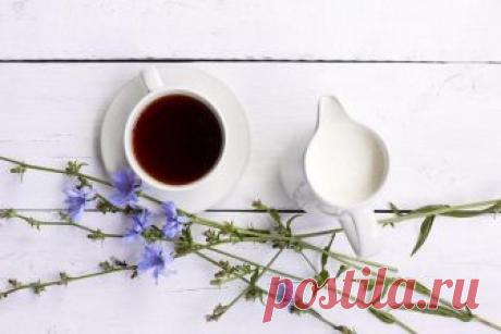 Напиток цикорий - чем полезен для здоровья человека ? Напиток цикорий - что это такое, что входит в его состав, чем полезен для здоровья, какой на вкус, как его применять и чем противопоказан для здоровья