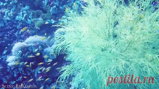 Aquarium