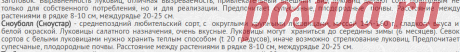 Лук-севок - Розничная торговля - AgrotehCom.ru