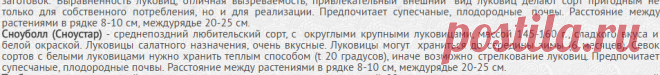 Лук-севок - Розничная торговля - AgrotehCom.ru