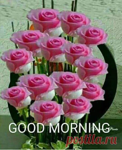 (14) Зина Таирова