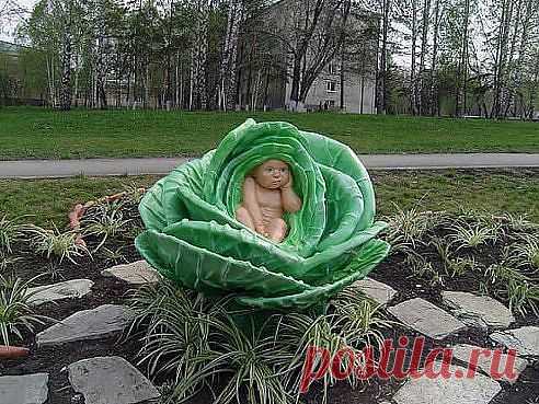(7) Однокласники