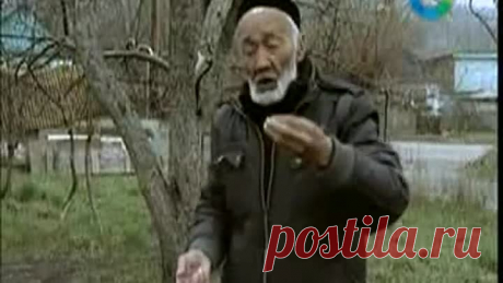 (1) Одноклассники