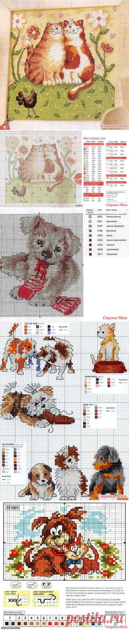 Вышивки крестиком Котики и Собачки. - Клуб рукоделия - Страна Мам