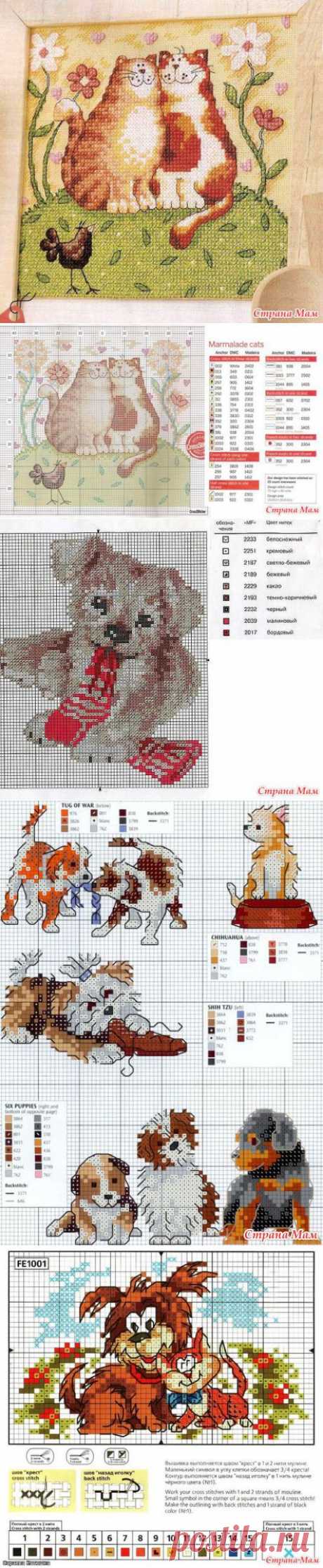 Вышивки крестиком Котики и Собачки. - Клуб рукоделия - Страна Мам