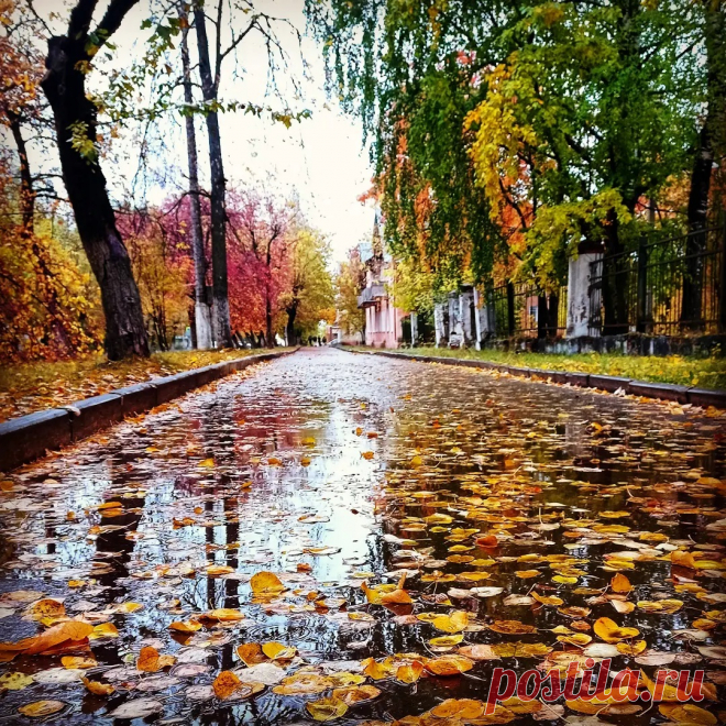 Яндекс Картинки: поиск похожих изображений