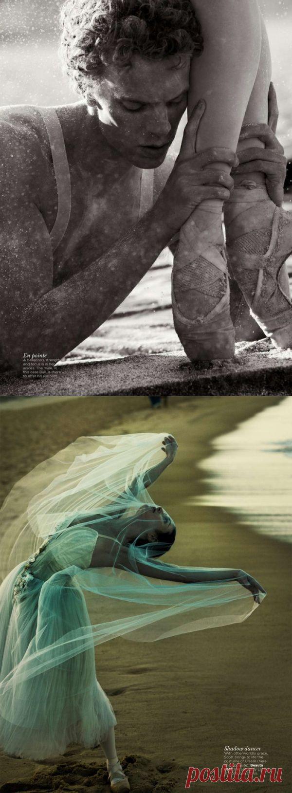 Фотограф Will Davidson.  |  Прекрасный балет  |  adme.ru
