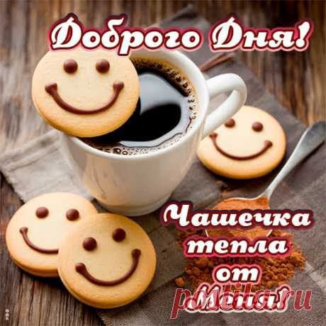 прикольные открытки добрый день https://postila.ru/post/80827435