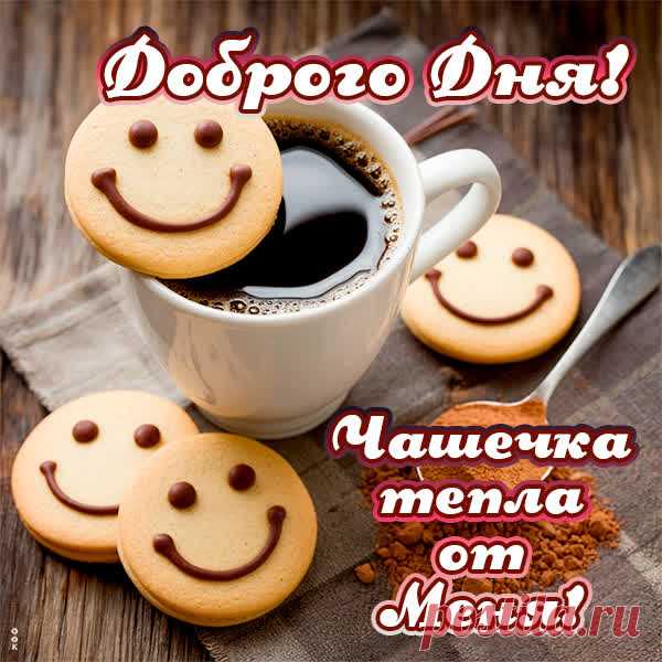 прикольные открытки добрый день https://postila.ru/post/80827435