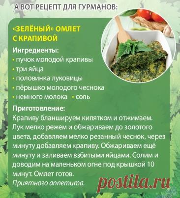 "Зеленый" омлет с крапивой