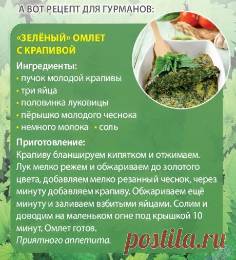 "Зеленый" омлет с крапивой