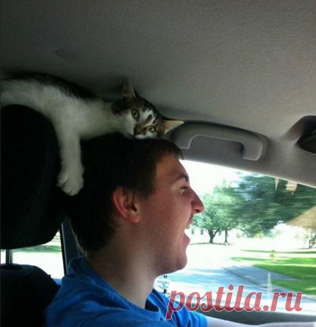 Озорные маленькие "злодеи"