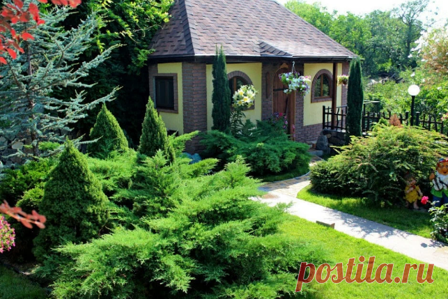 Играйте с различными видами растений, выбирая их разного цвета, размера и текстуры. Чередуйте крупные и вьющиеся растения, чтобы создать привлекательные композиции. Например, вы можете создать горку с камнями и посадить на нее разнообразные растения с контрастными листьями.